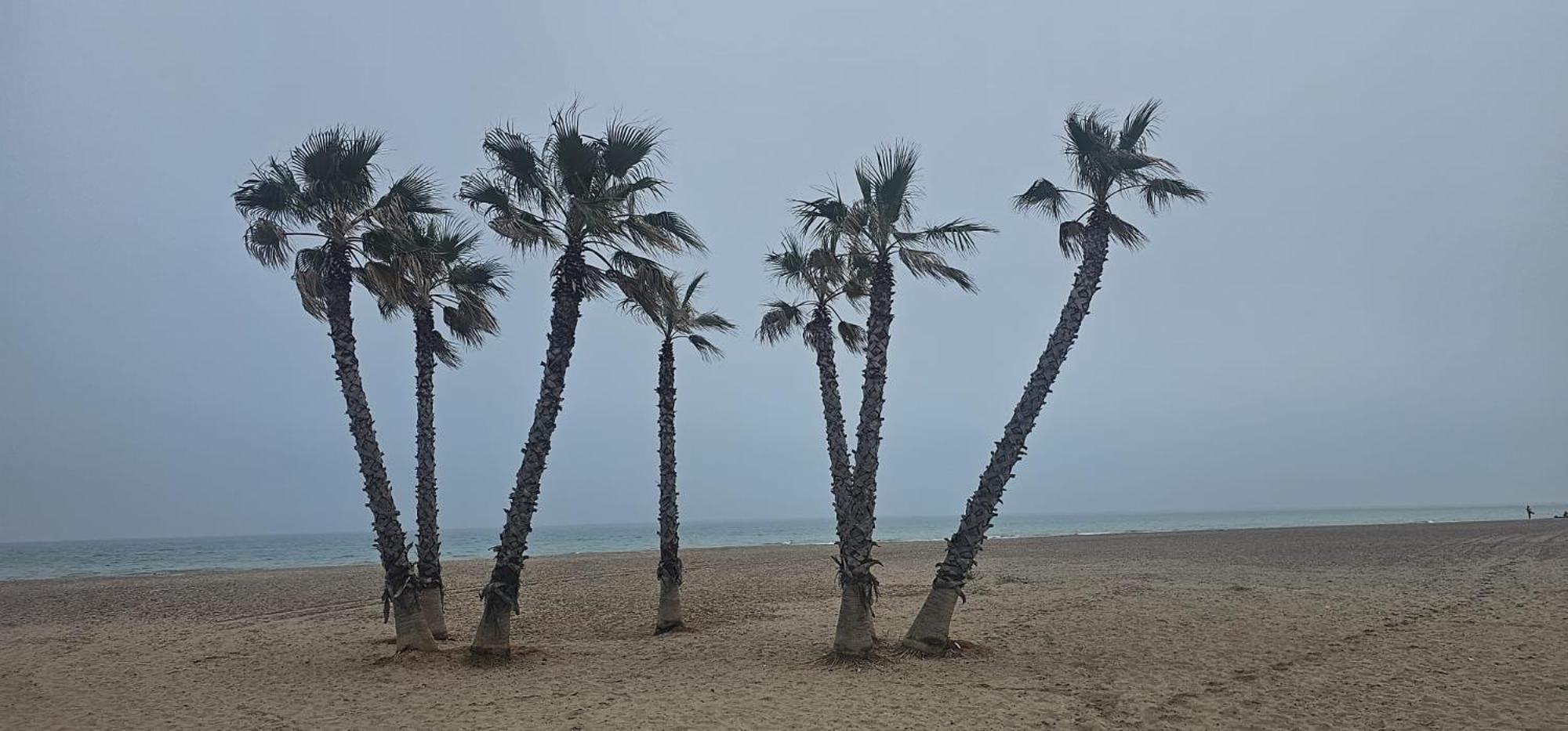 Apartamento Con Piscina Y Cerca De La Playa Canet d'En Berenguer Екстериор снимка